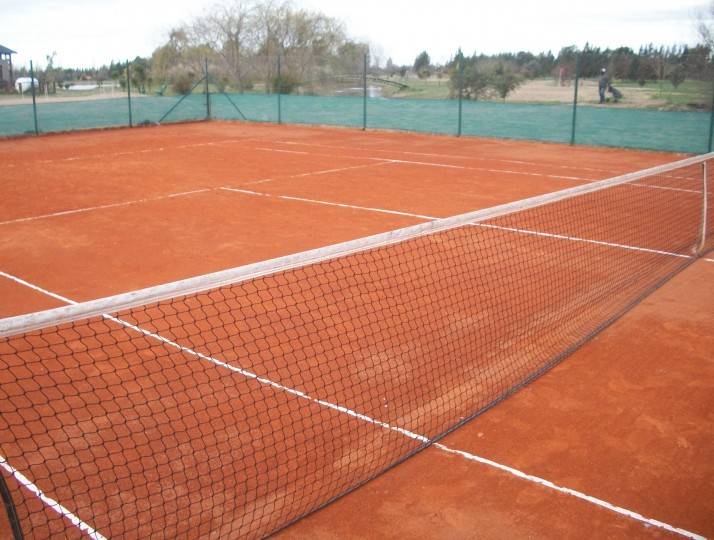 Tenis