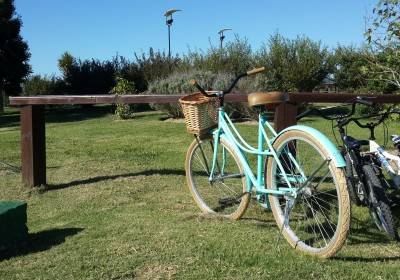 Paseos en Bicicleta