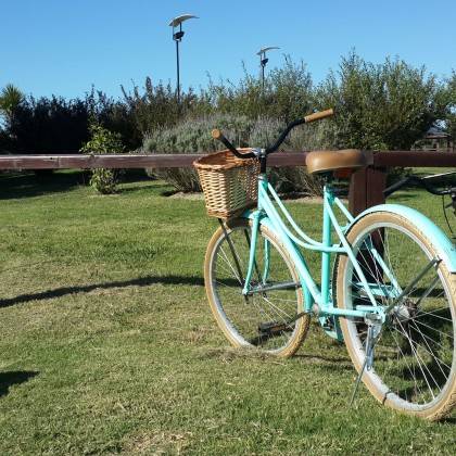 Paseos en Bicicleta