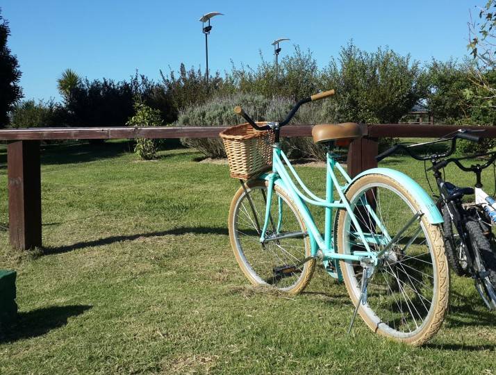 Paseos en Bicicleta