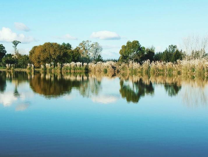 Lago Central
